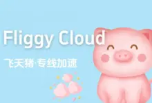 飞天猪机场深度评测【含最新优惠码】-VPN-Gocn